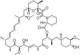 structure of CAS# 53123-88-9, 雷帕霉素