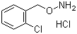 structure of CAS# 5555-48-6, O-(2-Chlorobenzyl)hydroxylamine hydrochloride