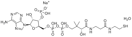 structure of CAS# 55672-92-9, Coenzyme A sodium salt hydrate