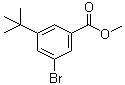 structure of CAS# 560131-64-8, Methyl 5-tert-butyl-3-bromobenzoate