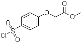 structure of CAS# 56077-78-2, 2-[4-(氯磺酰基)苯氧基]乙酸甲酯