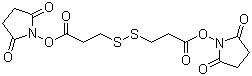 structure of CAS# 57757-57-0, 3,3'-Dithiodipropionic acid di(N-hydroxysuccinimide ester)