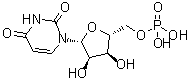 CAS # 58-97-9, 5'-Uridylic acid, Uridine 5'-phosphoric acid, Uridine monophosphate, Uridine phosphate