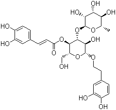 CAS # 61276-17-3 (22323-52-0), Verbascoside, [(2R,3R,4R,5R,6R)-6-[2-(3,4-Dihydroxyphenyl)ethoxy]-5-hydroxy-2-(hydroxymethyl)-4-[(2S,3R,4R,5R,6S)-3,4,5-trihydroxy-6-methyloxan-2-yl]oxyoxan-3-yl] (E)-3-(3,4-dihydroxyphenyl)prop-2-enoate