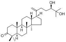 CAS # 63543-53-3, 24,25-Dihydroxydammar-20-en-3-one