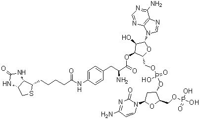 CAS 登录号：651329-56-5, 2'-脱氧-5'-O-膦酰胞苷酰-(3'→5')-腺苷 3'-(4-[[5-[(3aS,4S,6aR)-六氢-2-氧代-1H-噻吩并[3,4-d]咪唑-4-基]-1-氧代戊基]氨基]-L-苯丙氨酸酯)