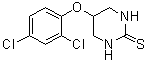 CAS # 676167-21-8, 5-(2,4-Dichlorophenoxy)tetrahydro-2(1H)-pyrimidinethione