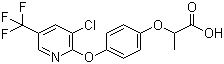 CAS # 69806-34-4 (95905-78-5), Haloxyfop, 2-[4-[3-chloro-5-(trifluoromethyl)pyridin-2-yl]oxyphenoxy]propanoic acid