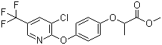 CAS # 69806-40-2, Haloxyfop-methyl, Methyl 2-(4-((3-chloro-5-(trifluoromethyl)-2-pyridinyl)oxy)phenoxy)propanoate