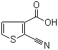 CAS 登录号：71154-34-2, 2-氰基噻吩-3-甲酸