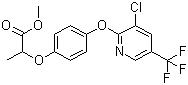 CAS # 72619-32-0, Haloxyfop-P-methyl, Methyl (R)-2-(4-(3-chloro-5-trifluoromethyl-2-pyridyloxy)phenoxy)propionate, 2-(4-((3-Chloro-5-(trifluoromethyl)-2-pyridinyl)oxy)phenoxy)-propanoic acid methyl ester