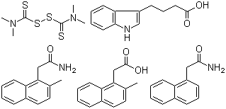 CAS 登录号：75497-92-6, 生根粉 F, 3-吲哚基丁酸和 2-甲基-1-萘乙酰胺 2-甲基-1-萘乙酸 1-萘乙酰胺 四甲基硫代过氧二甲酰胺的混合物