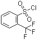 structure of CAS# 776-04-5, 2-(Trifluoromethyl)benzenesulfonyl chloride