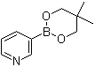 structure of CAS# 845885-86-1, Pyridine-3-boronic acid neopentyl glycol ester