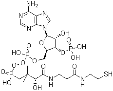 structure of CAS# 85-61-0, 辅酶 A