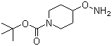 structure of CAS# 867034-25-1, 4-(氨基氧基)哌啶-1-甲酸叔丁酯