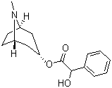 CAS # 87-00-3, Homotropine, 8-Methyl-8-azabicyclo[3.2.1]oct-3-yl hydroxy(phenyl)acetate