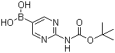 structure of CAS# 883231-25-2, [2-(叔丁氧羰基氨基)嘧啶-5-基]硼酸