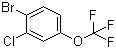 structure of CAS# 892845-59-9, 1-Bromo-2-chloro-4-(trifluoromethoxy)benzene