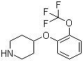 structure of CAS# 902836-49-1, 4-[2-(三氟甲氧基)苯氧基]哌啶