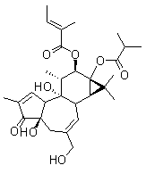 CAS # 92214-54-5, 12-O-Tiglylphorbol-13-isobutyrate