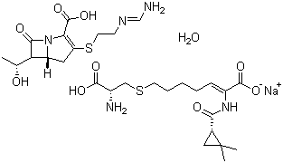 CAS 登录号：92309-29-0, 亚胺培南-西司他丁钠