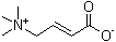 CAS # 927-89-9, Crotonobetaine, Croton betaine, Crotonic acid betaine, (3-Carboxyallyl)trimethylammonium hydroxide inner salt