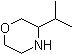 3-异丙基吗啉分子结构 (CAS 927802-40-2)