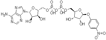 CAS # 939028-75-8, Adenosine 5'-(trihydrogen diphosphate), P'→5-ester with 4-nitrophenyl beta-D-ribofuranoside