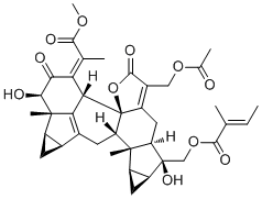 CAS 登录号：943136-39-8, Chlorahololide D