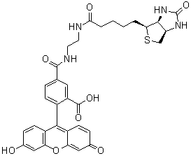 structure of CAS# 957494-27-8, 5-[[[2-[[5-[(3aS,4S,6aR)-六氢-2-氧代-1H-噻吩并[3,4-d]咪唑-4-基]-1-氧代戊基]氨基]乙基]氨基]羰基]-2-(6-羟基-3-氧代-3H-氧杂蒽-9-基)苯甲酸
