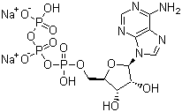 CAS # 987-65-5, Adenosine 5'-triphosphate disodium salt, ATP disodium salt