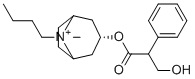 CAS # 99571-66-1, Scopolamine Butyl Bromide Impurity 08, [3(S)-endo]-8-Butyl-3-(3-hydroxy-1-oxo-2-phenylpropoxy)-8-methyl-8-Azoniabicyclo[3.2.1]octane